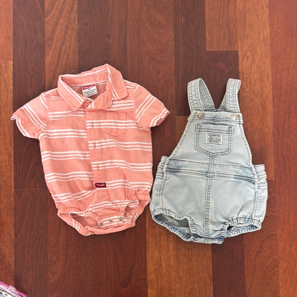 Wrangler Pink and Light Blue Kids Overalls Set